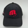 HAT - Image 4